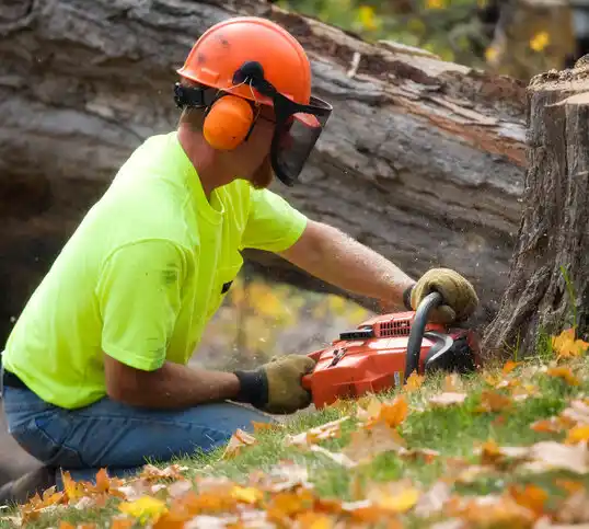 tree services Barrett